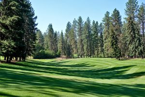 Indian Canyon 14th Fairway 2023